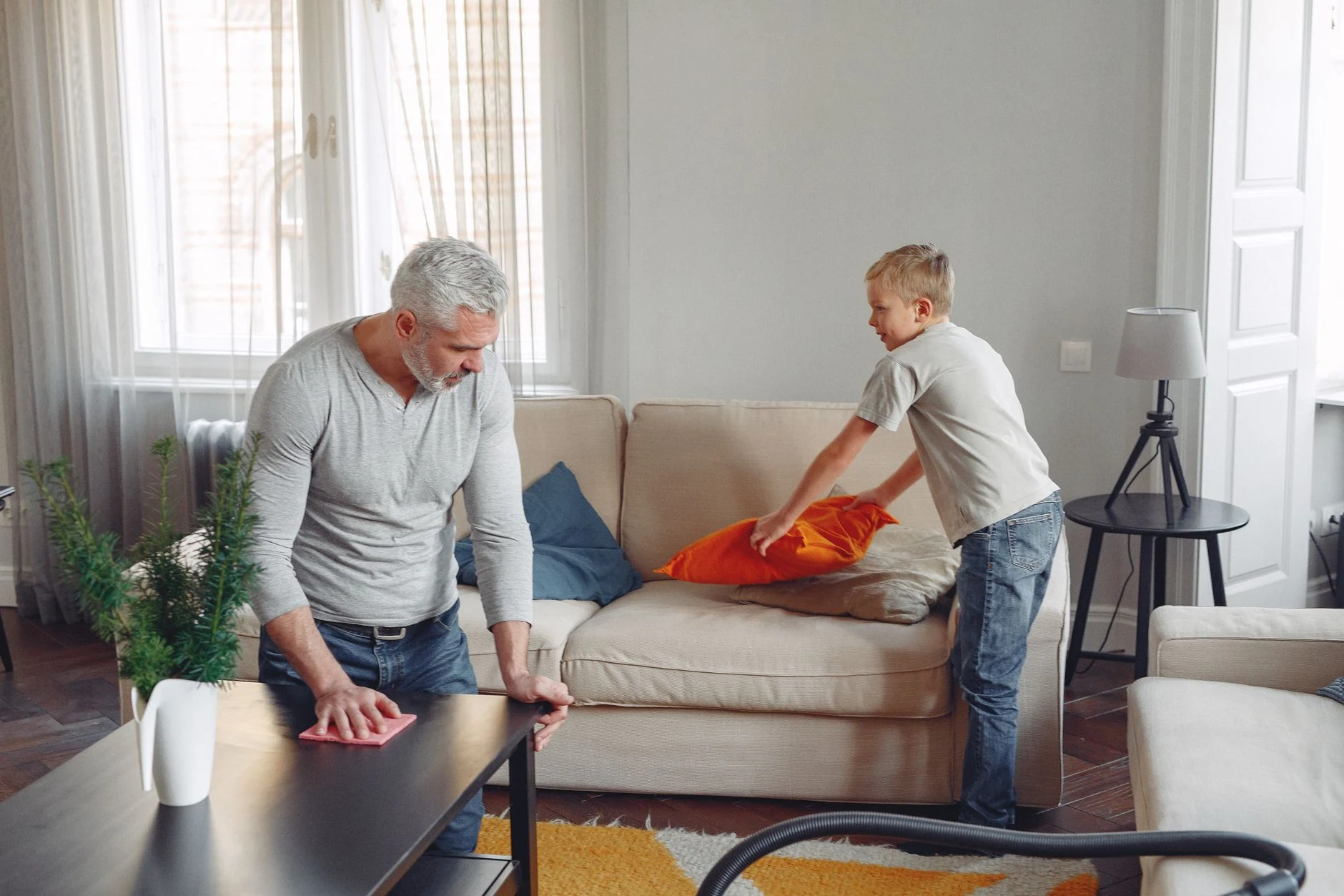 clean living room service
